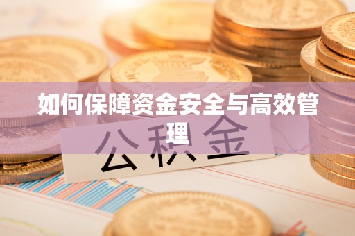 建阳如何保障资金安全与高效管理