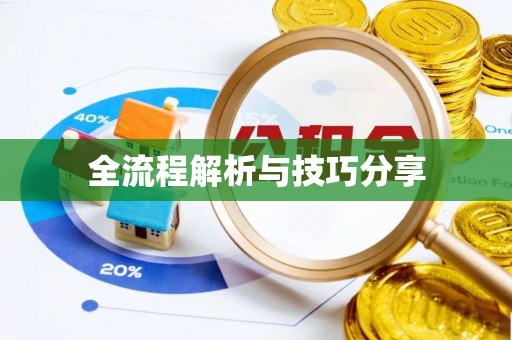 建阳全流程解析与技巧分享